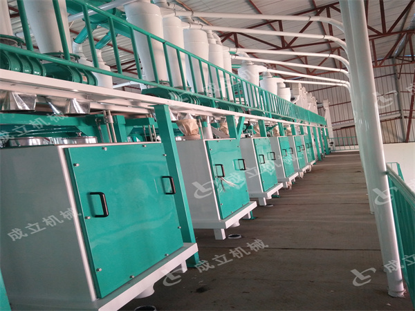 100噸玉米加工機械